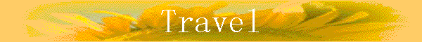 Travel